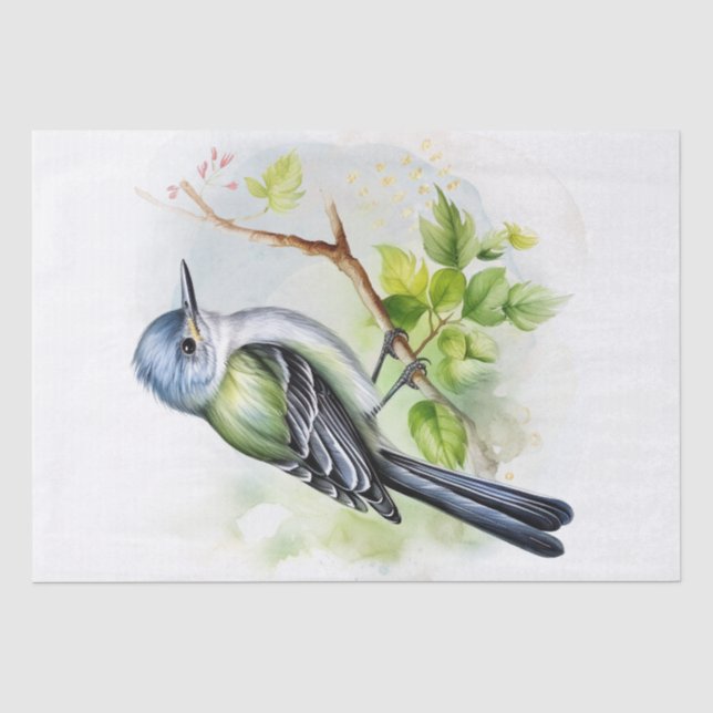 Papel De Seda Acade Flycatcher Bird (Frente )