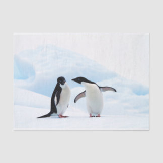 Papel De Seda Adelie Penguins