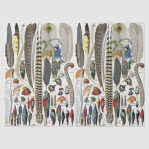 Papel De Seda Adolphe Millot Dark Academia Vintage Pena de Pássa