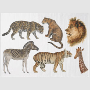 Papel De Seda África: Animais Selvagens Lion Leopard Vintage Dec