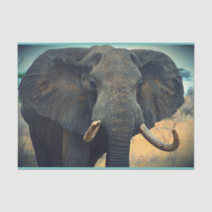 Papel De Seda Afro-se Elefante