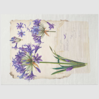 Papel De Seda Agapanthus flower Ephemera Collage Art