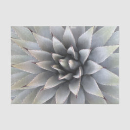 Papel De Seda Agave Succult Plant Cactus Green Sage