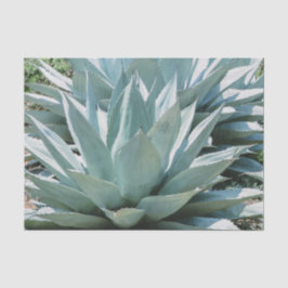 Papel De Seda Agave Succult Plant Cactus Green Sage cinza