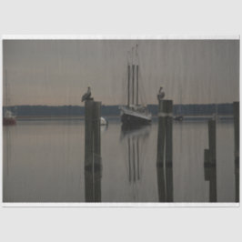 Papel De Seda Águas Tranquilas-Barco na Descaptação de Água