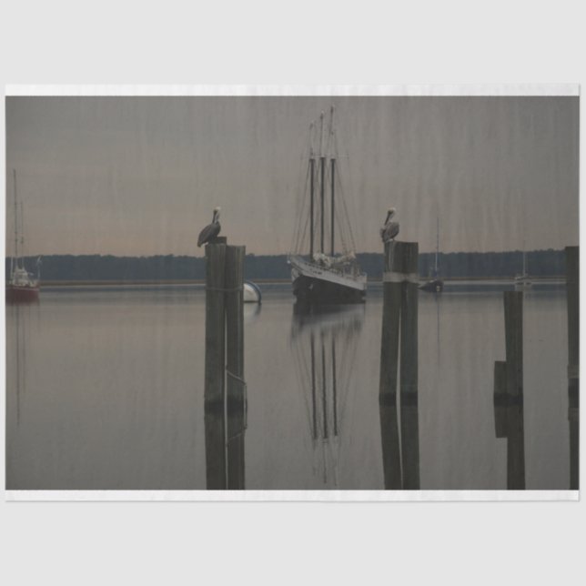 Papel De Seda Águas Tranquilas-Barco na Descaptação de Água (Frente )