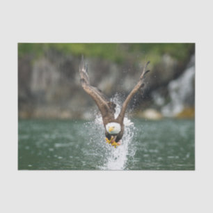 Papel De Seda Águia americana a captura grande