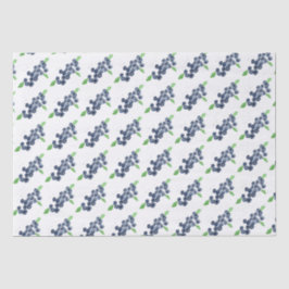 Papel De Seda Airelas frutas Airelas primeiro aniversario aquare