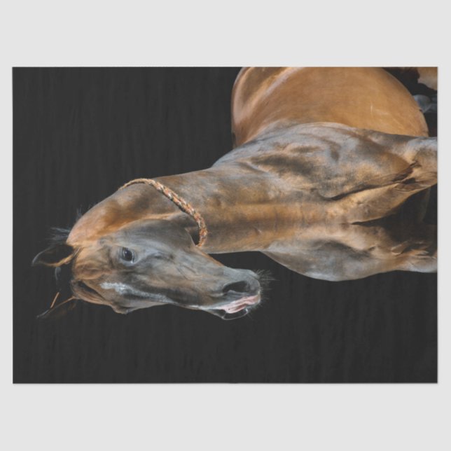 Papel De Seda Akhal-Teke Horse (Frente )