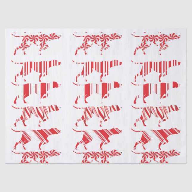 Papel De Seda ALEMÃO - SENHOR PRESIDENTE - Documento de Tecidos  (Frente )