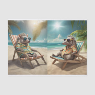 Papel De Seda Alfredo & Valentino na Costa Azul