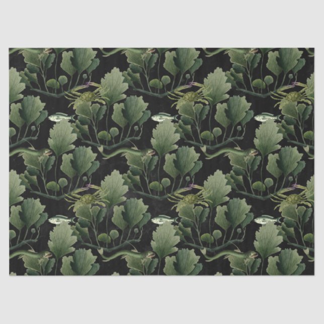 Papel De Seda Algas marinhas e Peixes na Decoupage Preta (Frente )