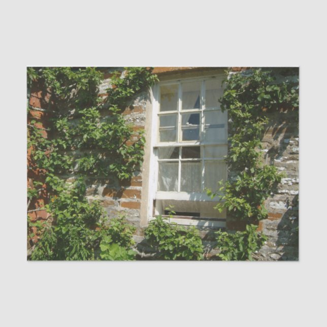 Papel De Seda Algodão Inglês Eu Agradeço (Frente )