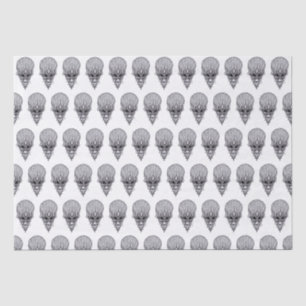Papel De Seda Alienígena, reconstrução facial do crânio africano
