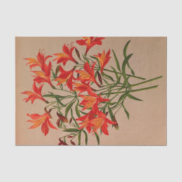 Papel De Seda Alstroemeria Aurantiaca por Arentina Arendsen