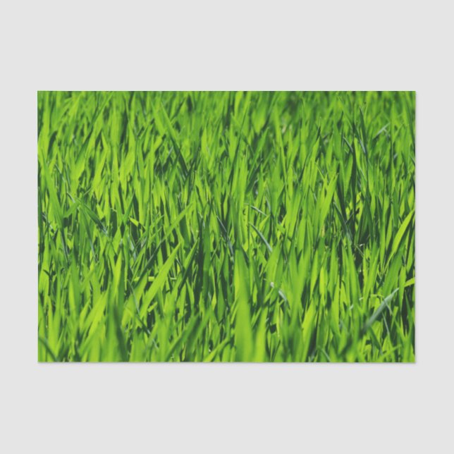 Papel De Seda Altas lâminas de grama (Frente )