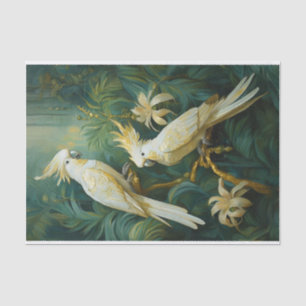Papel De Seda Amantes de Cockatoo, Elegância de Penas Brancas