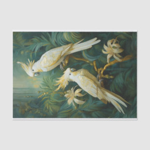 Papel De Seda Amantes de Cockatoo, Elegância de Penas Brancas