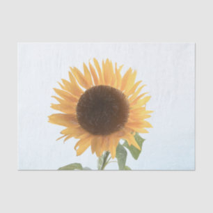Papel De Seda Amarelo de Girassol Arte Rústica Desenho Simples