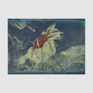 Papel De Seda Amarelo de Girassol Azul Turquesa Marrom Desenho A