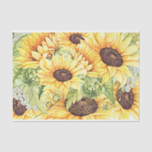 Papel De Seda Amarelo Elegante Molercola Girassóis Verde