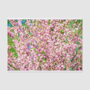 Papel De Seda Ameixa de Flor
