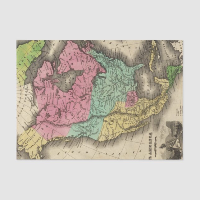 Papel De Seda America do Norte (Frente )