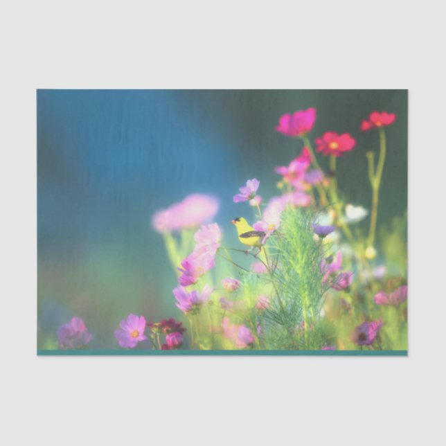 Papel De Seda American Goldfinch e Coreopsis (Frente )