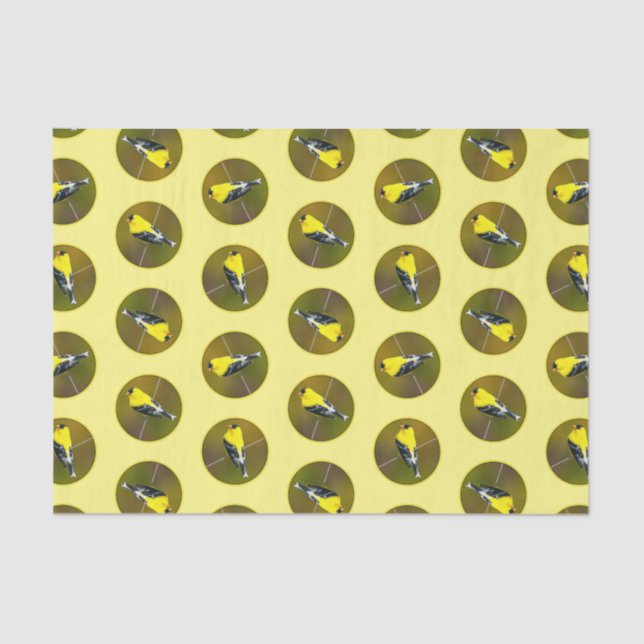 Papel De Seda American Goldfinch Songbird - Foto original (Frente )