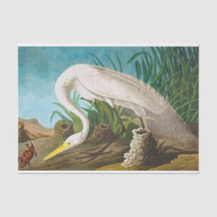 Papel De Seda American White Heron por John James Audubon