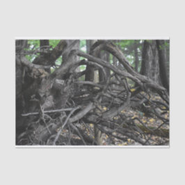 Papel De Seda Amor a Árvore Falsa