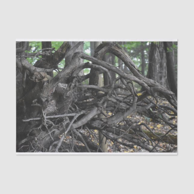 Papel De Seda Amor a Árvore Falsa (Frente )