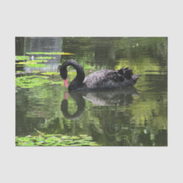 Papel De Seda Amor da cisne