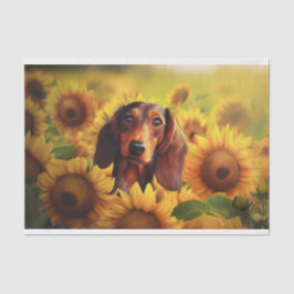 Papel De Seda Amor De Girassol, Dachshund De Cabelo Longo Marrom