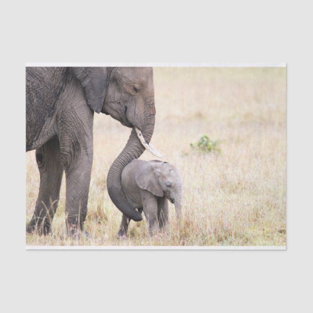 Papel De Seda Amor maternal (Frente )