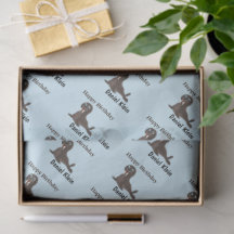 Aniversário personalizado foca cinza azul fofo