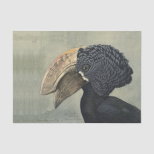 Papel De Seda Antiguamente Hornbill pintando artesanato de pinto