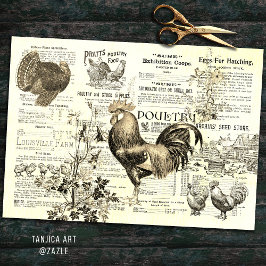 Papel De Seda Antiguidade para Horticultura Rooster Ads Ephemera