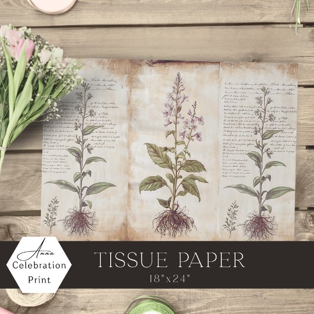 Papel De Seda Antique Botanical Herbs Decoupage (Criador carregado)