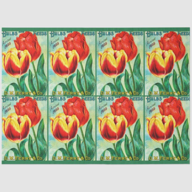 Papel De Seda Antique Garden Advertisement, Yellow Red Tulips (Frente )