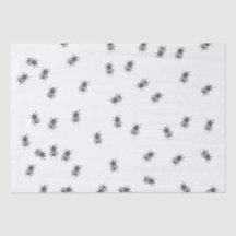 Anúncio De Voo De 1910