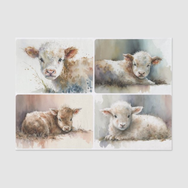 Papel De Seda Apenas um bebê (Frente )