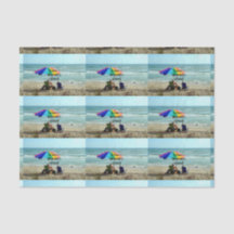 Aposentado — Todo dia é sábado. Pesca perdida