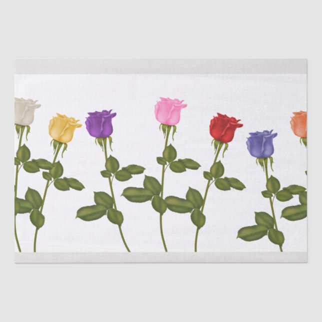 Papel De Seda Apreciação Colorida de Rosas (Frente )
