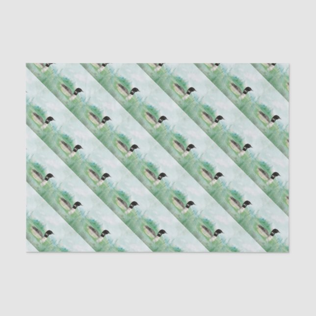 Papel De Seda Aquarela comum Loon Bird Art (Frente )