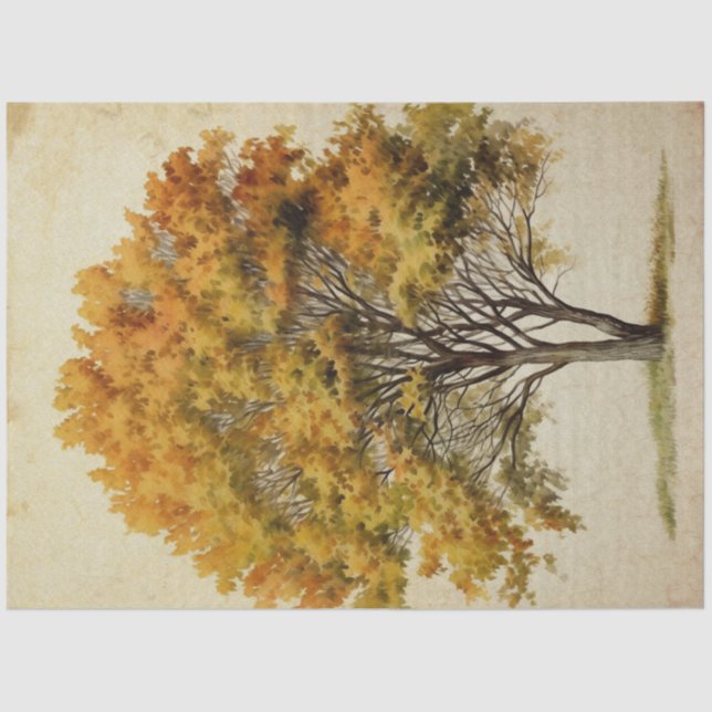Papel De Seda Aquarela da Árvore da Estação do outono (Frente )