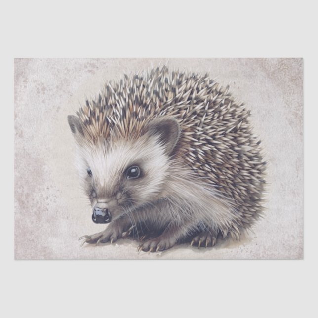 Papel De Seda Aquarela de Cabeça de Porco (Frente )