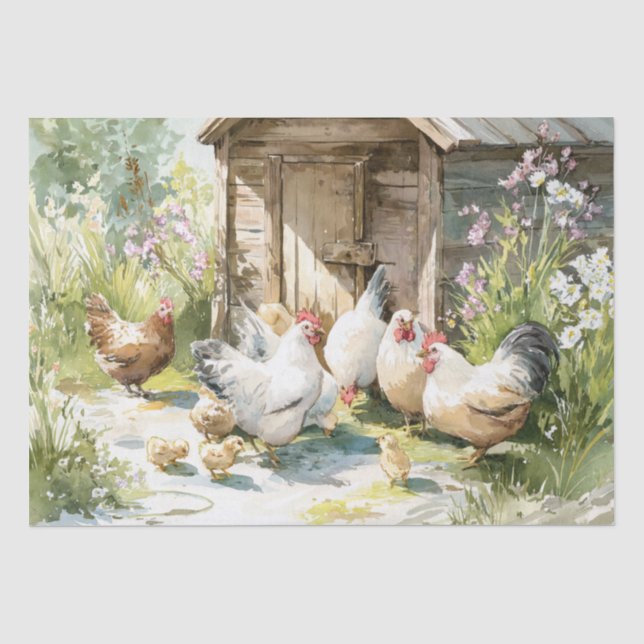 Papel De Seda Aquarela Frango de Quintal (Frente )