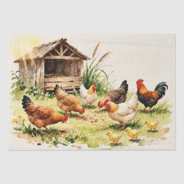 Papel De Seda Aquarela Galinhas de Quintal (Frente )
