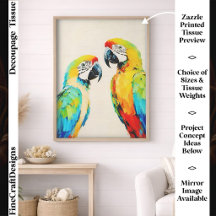 Arara Papagaio Tropical Colorido Vibrante, Par FW8